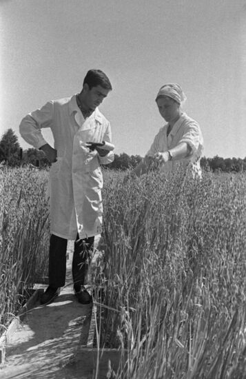Academician Pryanishnikov Agro-Chemical Experimental Station in Dolgoprudny