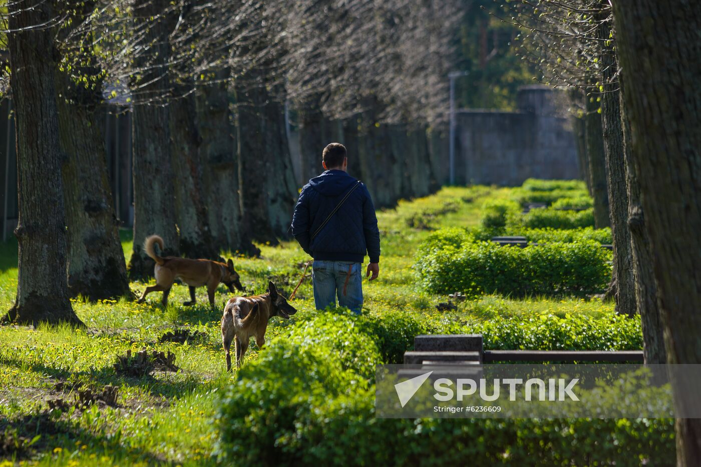 WWII Ending Anniversary Worldwide