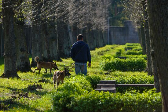 WWII Ending Anniversary Worldwide