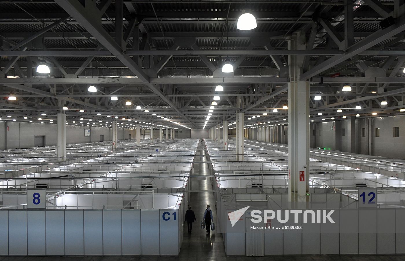 Russia Coronavirus Hospital Facilities