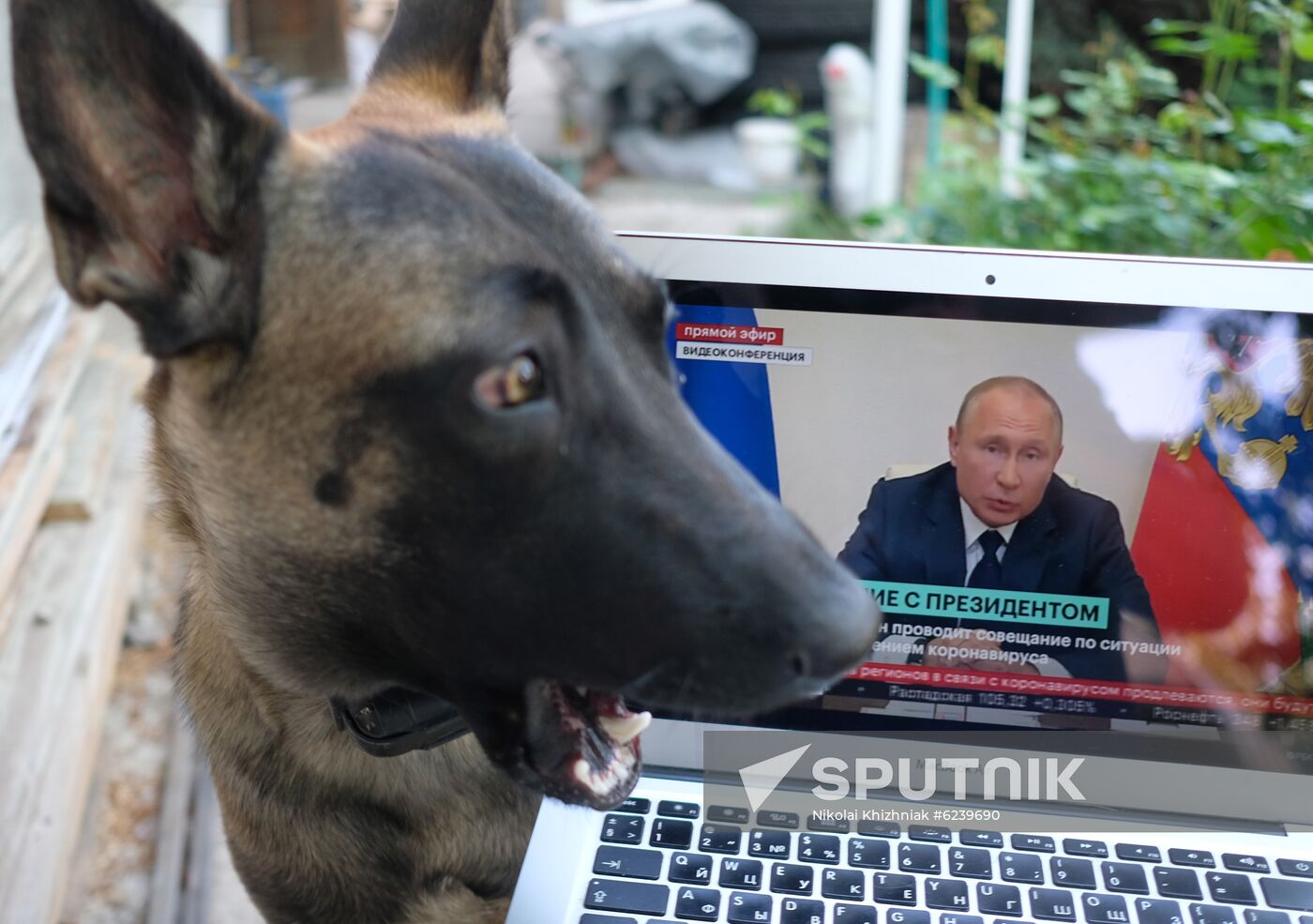 Russia Putin Coronavirus Address