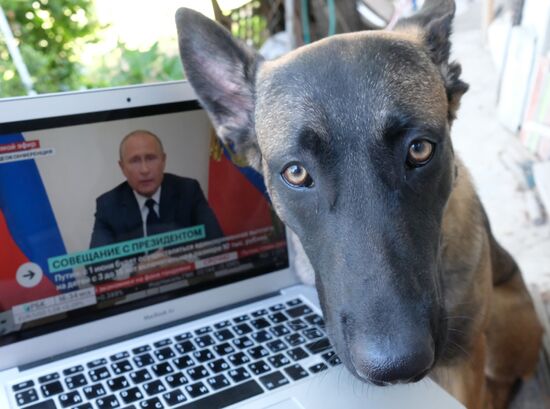 Russia Putin Coronavirus Address