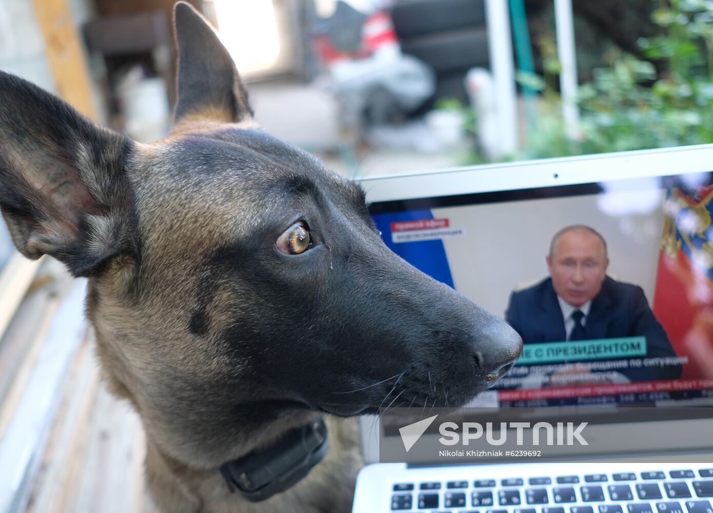 Russia Putin Coronavirus Address