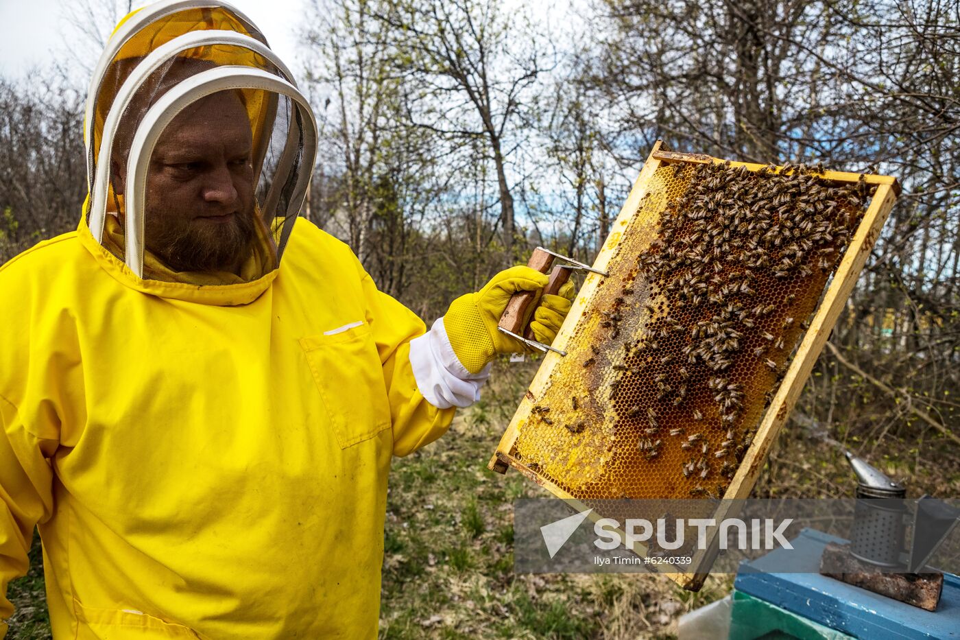 Russia Apiary