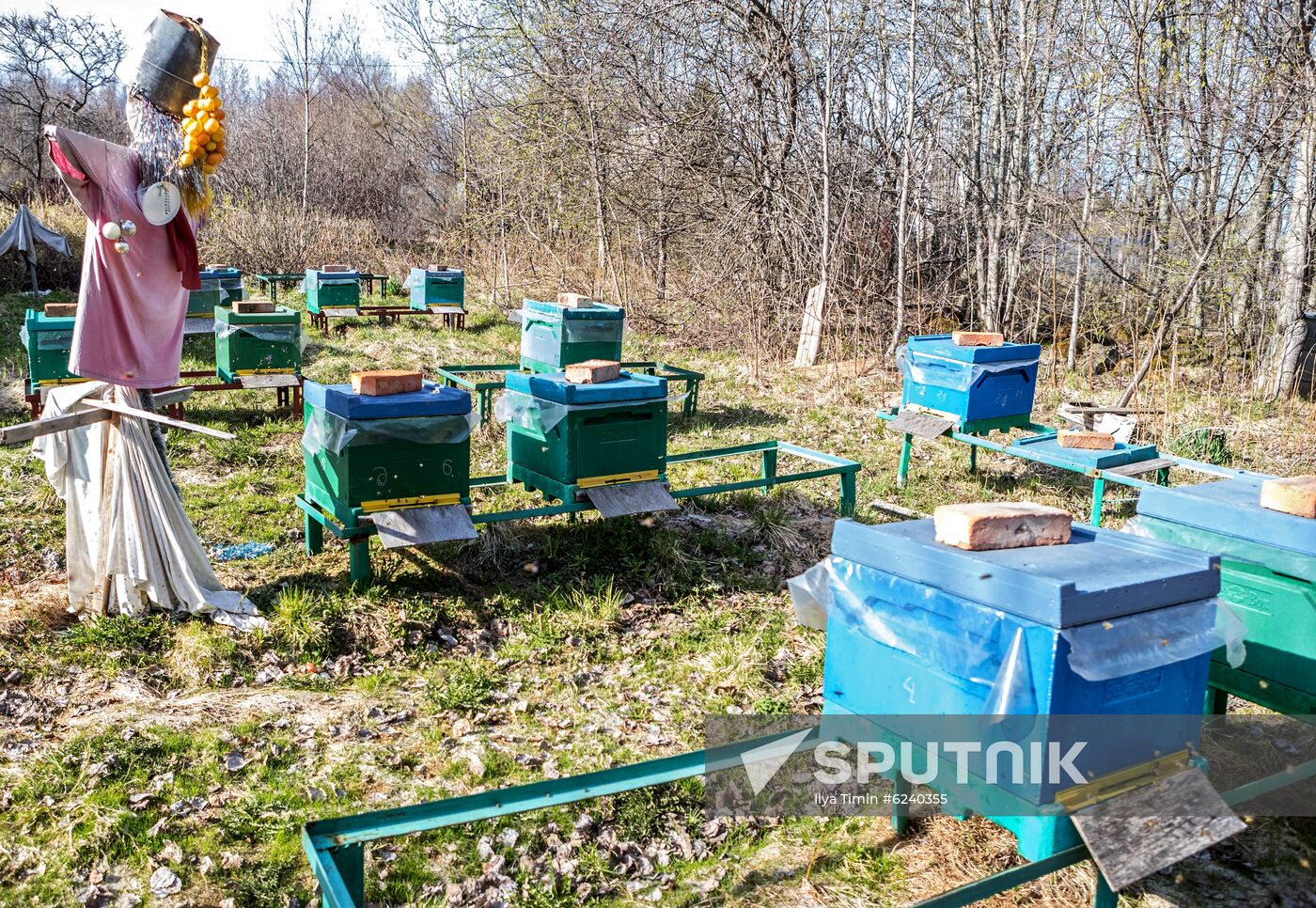 Russia Apiary