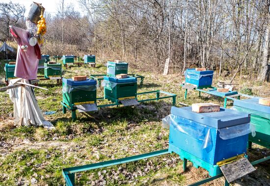 Russia Apiary