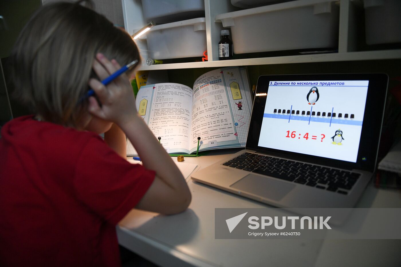 Russia Coronavirus Distance Learning