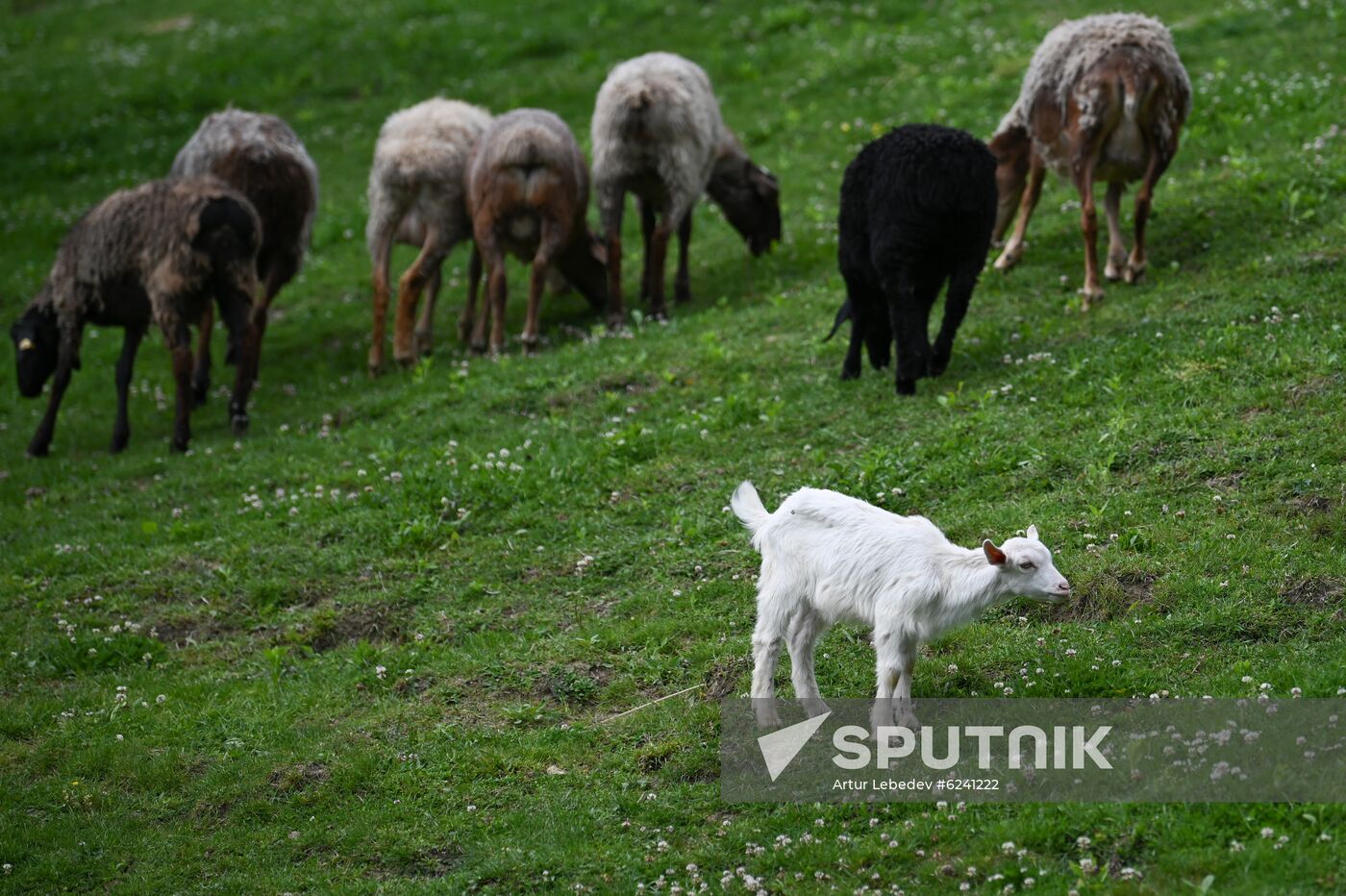 Russia Ecological Farming