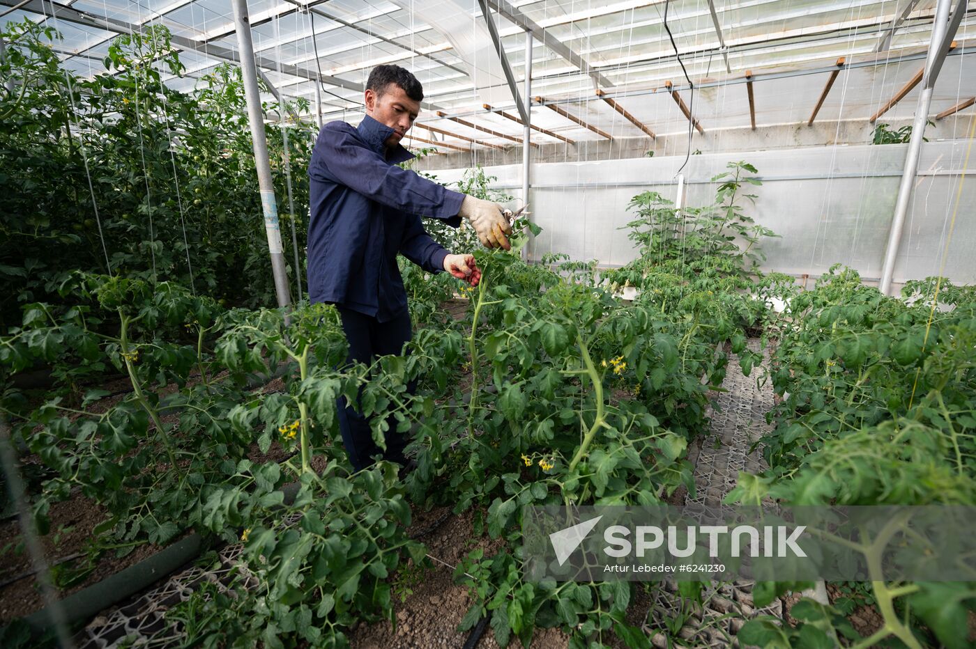Russia Ecological Farming