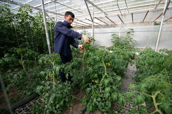 Russia Ecological Farming