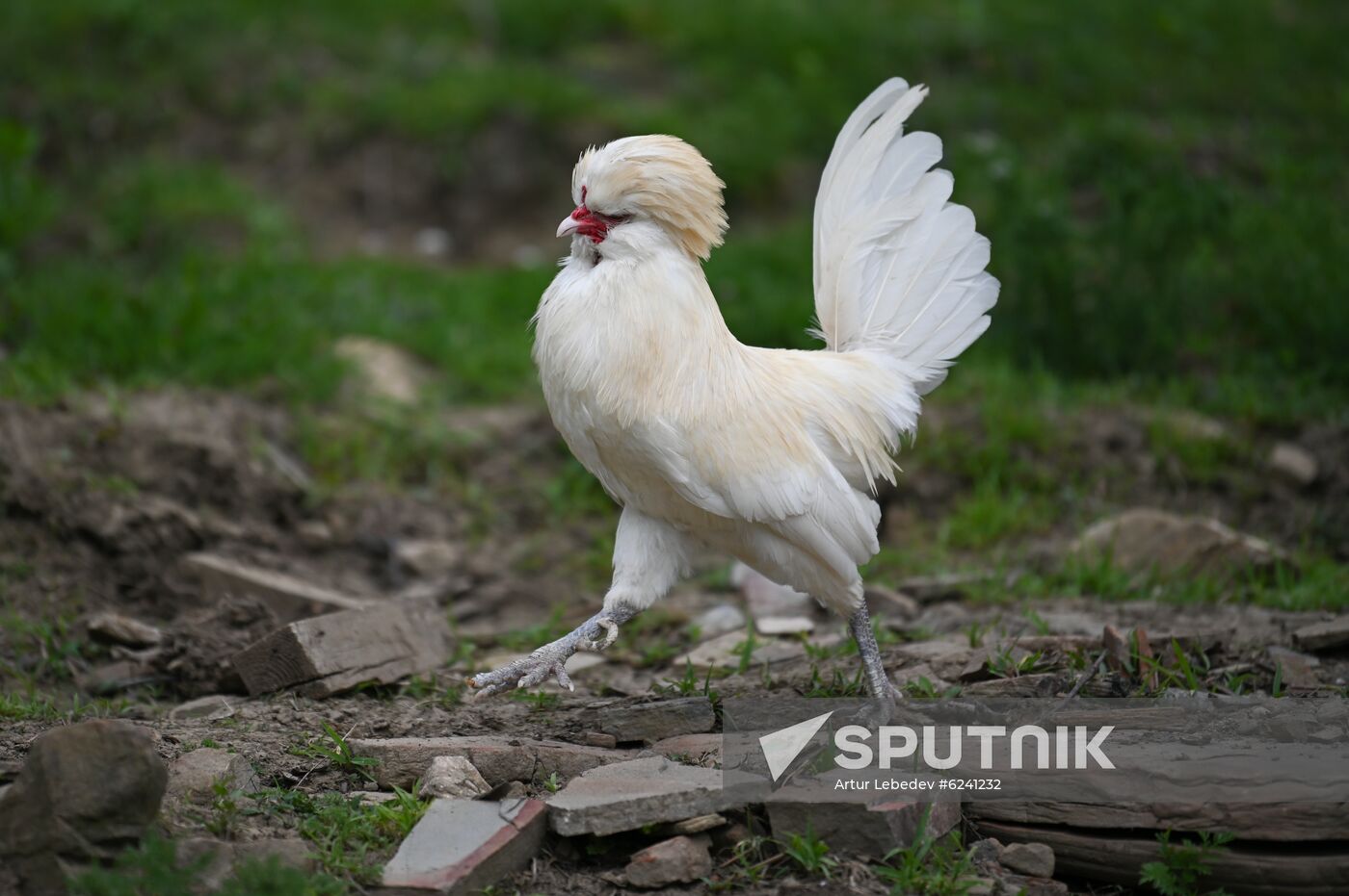 Russia Ecological Farming