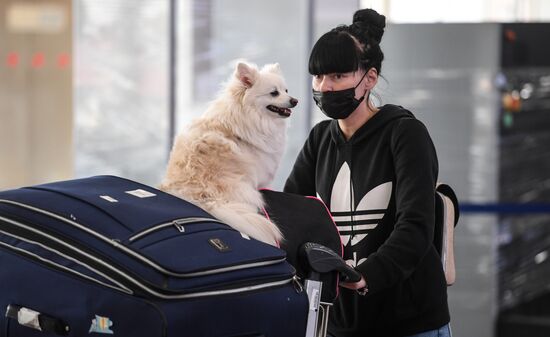 Russia Coronavirus International Flights