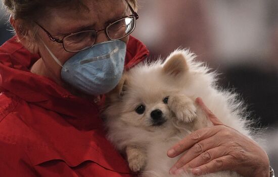 Russia Coronavirus International Flights