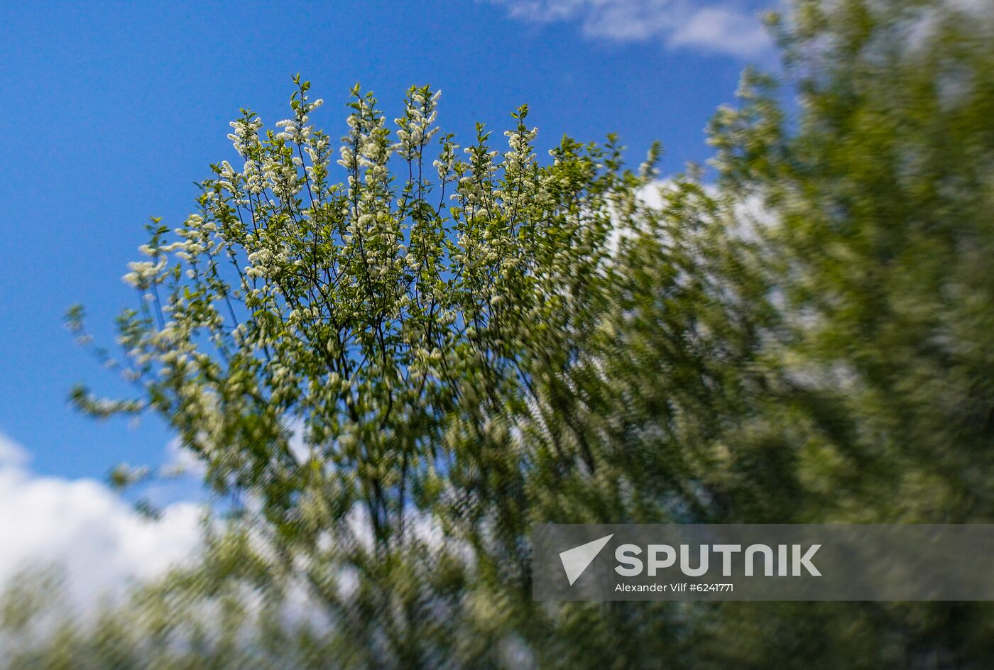 Russia Spring