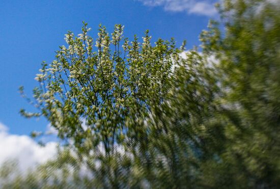Russia Spring