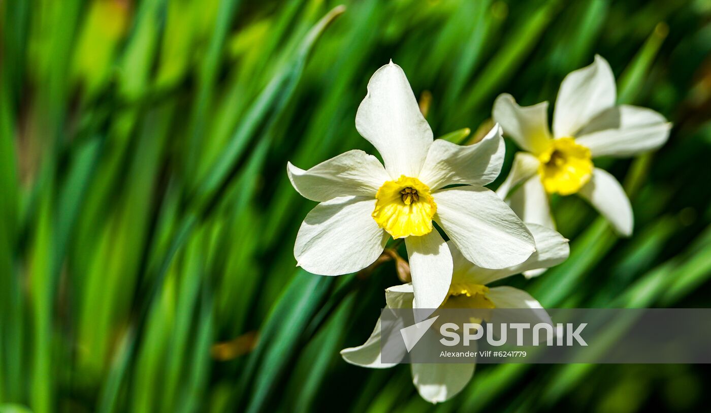 Russia Spring