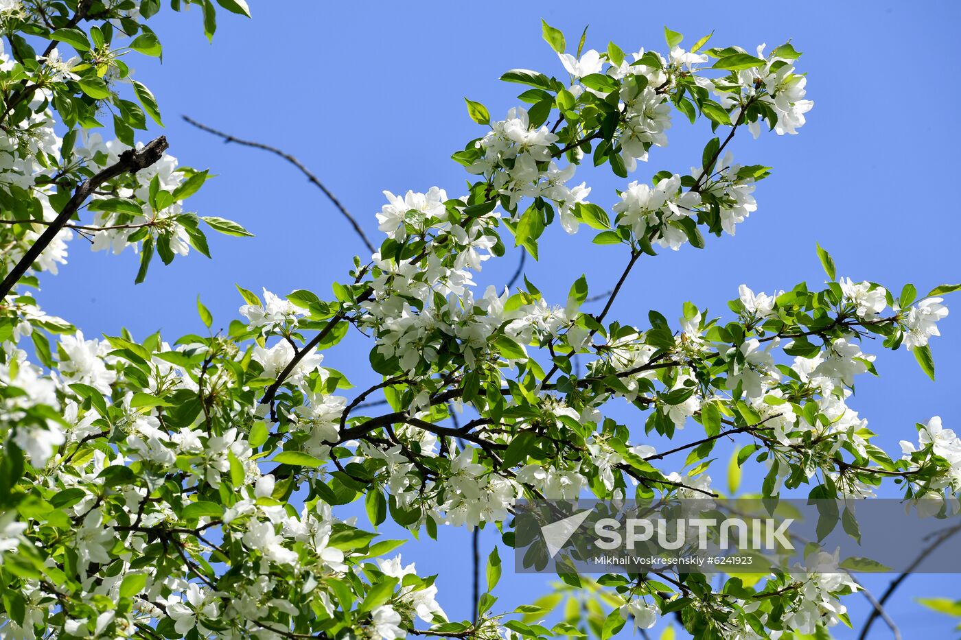 Russia Spring