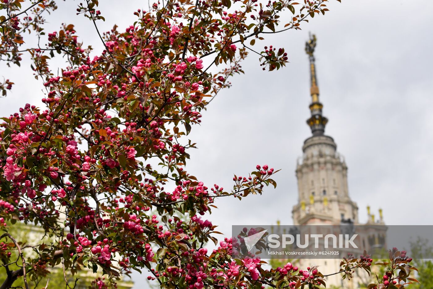 Russia Spring