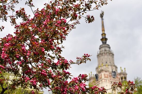 Russia Spring