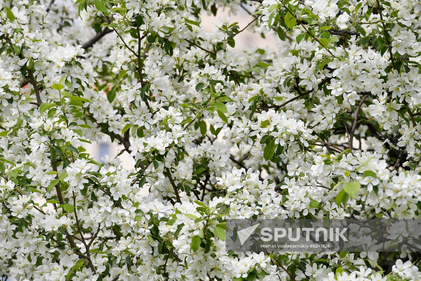 Russia Spring