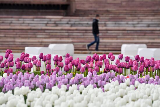 Russia Spring