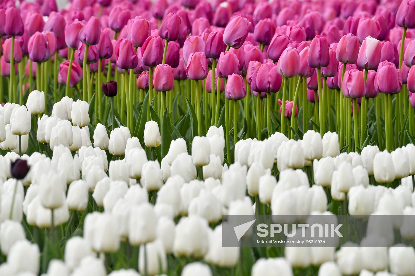 Russia Spring