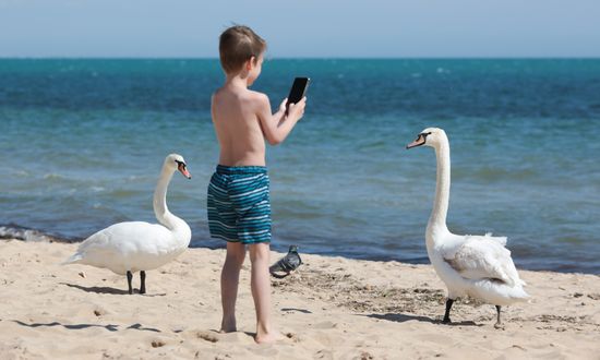 Russia Crimea Coronavirus Lockdown Ease