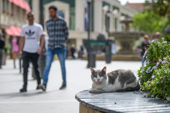 Azerbaijan Coronavirus Lockdown Ease