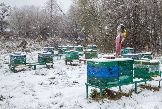 Russia Daily Life 