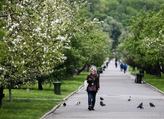 Russia Daily Life 