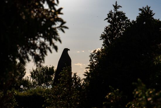 Armenia Sardarapat Memorial