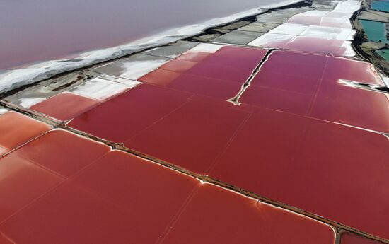 Russia Crimea Salt Harvesting