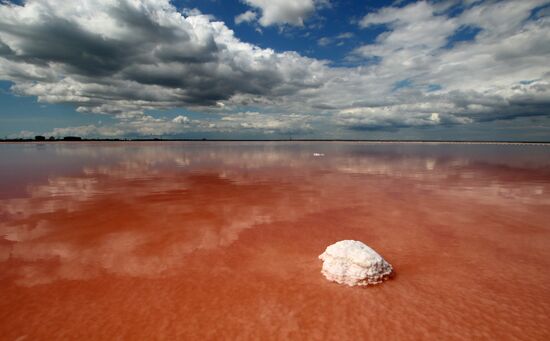 Russia Crimea Salt Harvesting