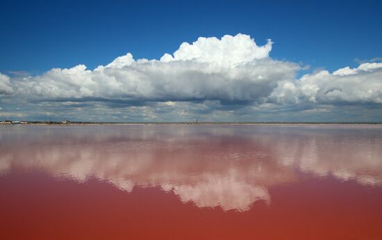Russia Crimea Salt Harvesting