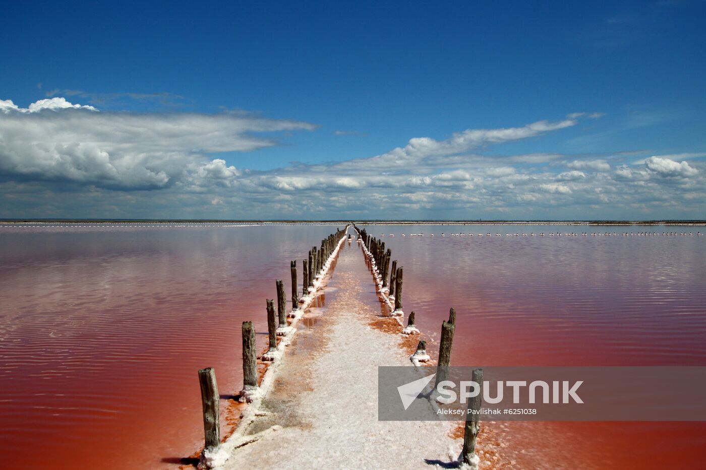 Russia Crimea Salt Harvesting