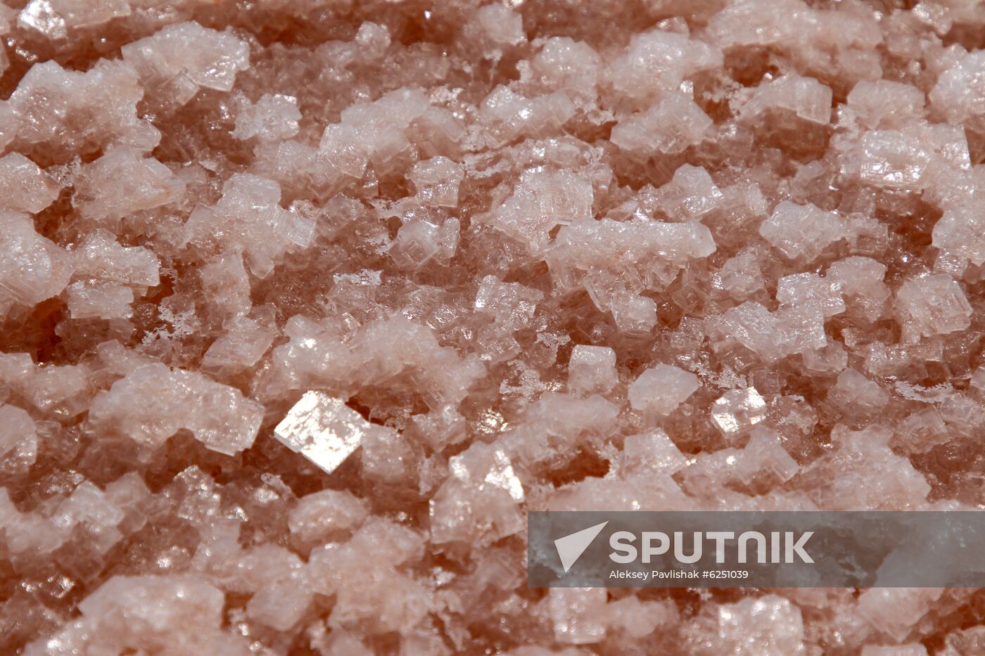 Russia Crimea Salt Harvesting