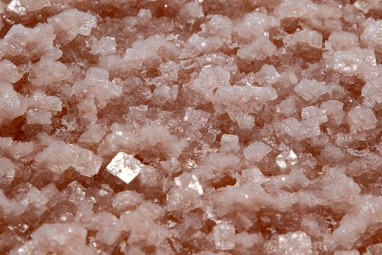 Russia Crimea Salt Harvesting