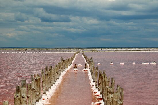 Russia Crimea Salt Harvesting