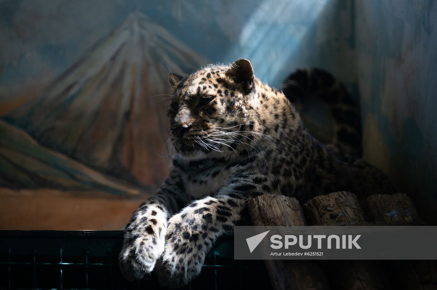 Russia Zoo