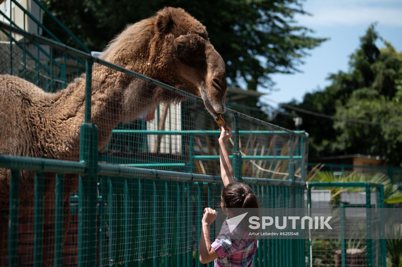 Russia Zoo