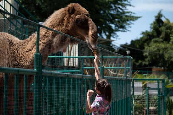 Russia Zoo