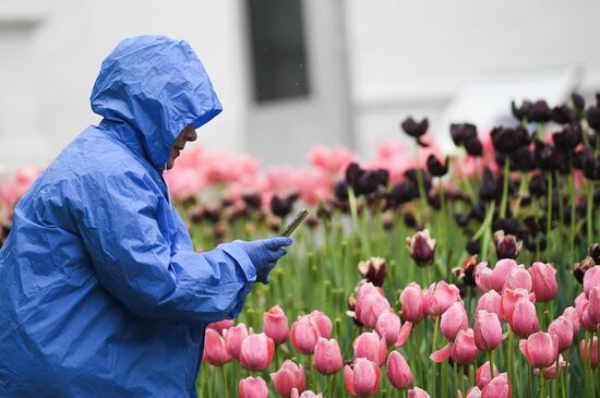 Russia Coronavirus Lockdown Ease