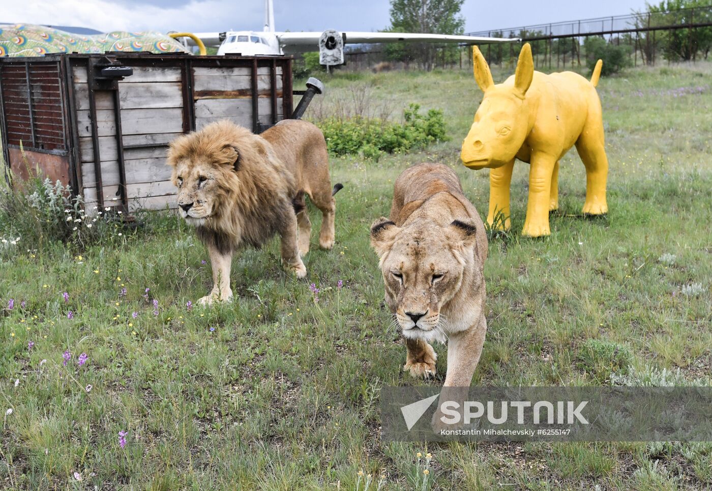 Russia Safari Park