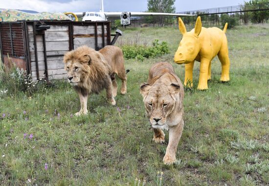 Russia Safari Park