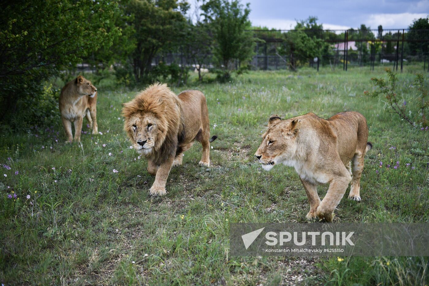 Russia Safari Park