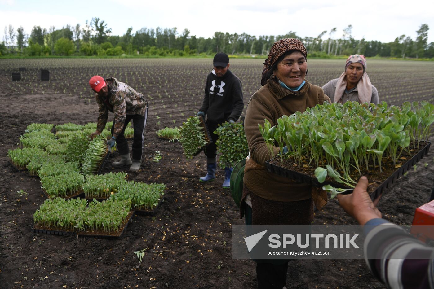 Russia Agriculture