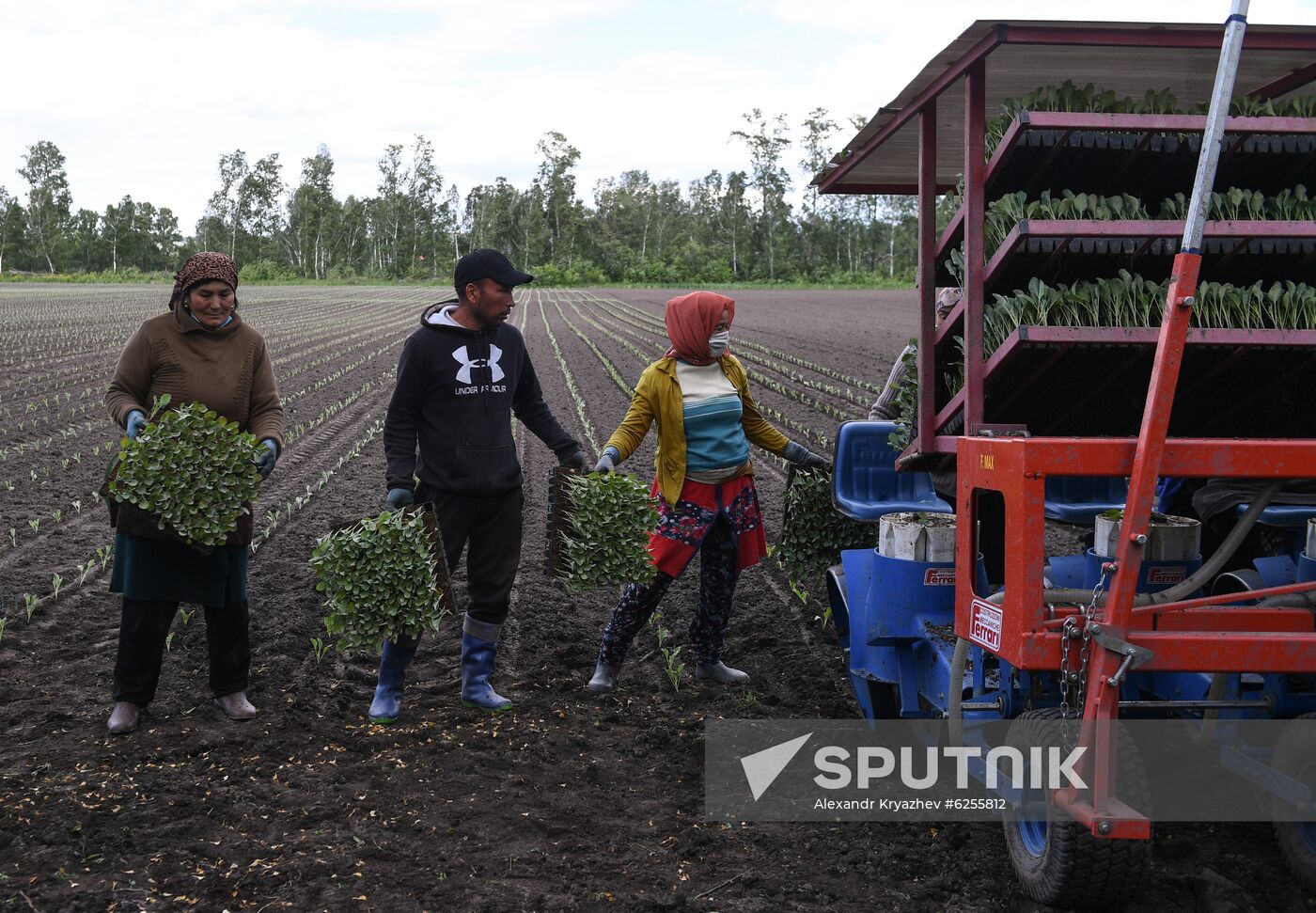 Russia Agriculture