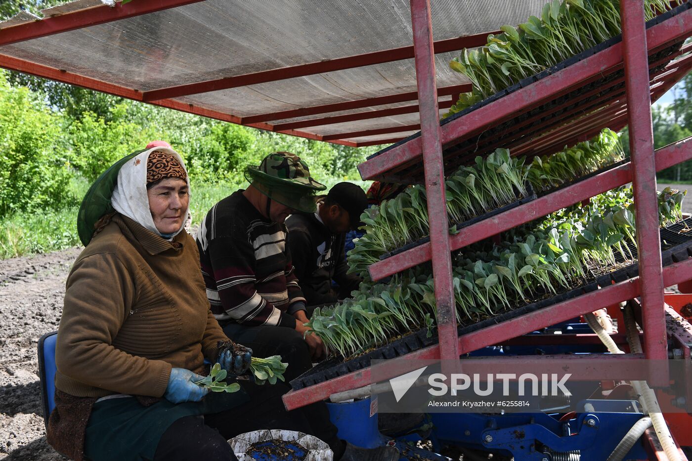 Russia Agriculture