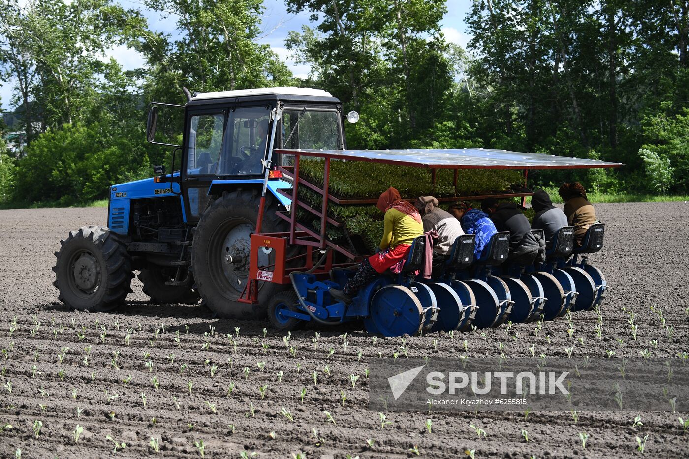 Russia Agriculture