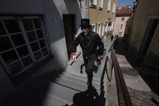 Estonia Chimney Sweeper